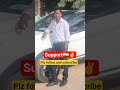 plz support