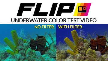 FLIP Filters | Professional Underwater Color Filters for GoPro