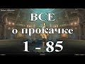 🚼 ВСЁ О ПРОКАЧКЕ 1-85 LVL Lineage 2 Salvation 🚼