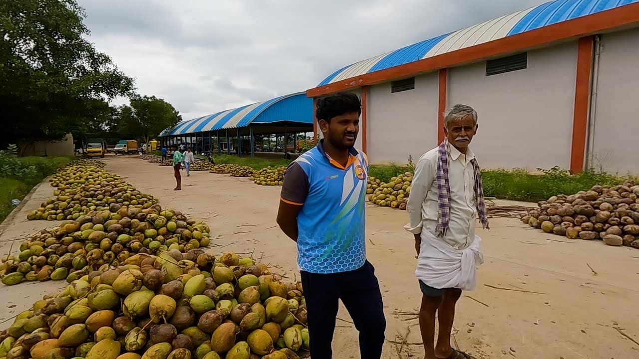 ಈ ವಾರ ತೆಂಗಿನಕಾಯಿ ರೇಟ್ ಕಡಿಮೆ ಆಯ್ತು - ರೈತ ರಾಕೇಶ್