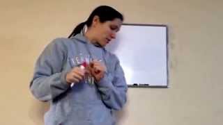 Celebrity Saxon Math 6th Grade - Lesson 58 - Probability Profile