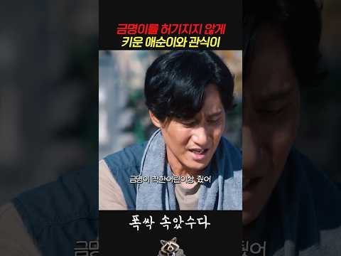 금명이를 허기지지 않게 <strong>키운</strong> 애순이와 관식이 #폭싹속았수다