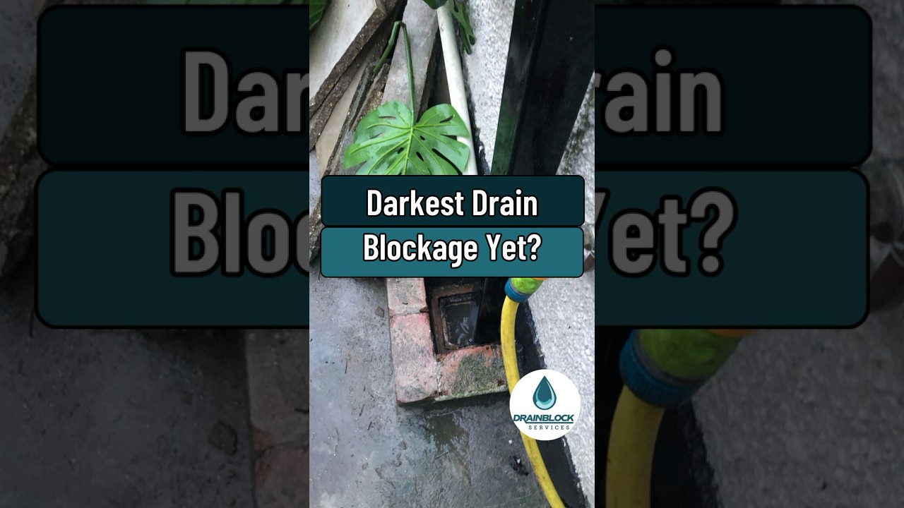 💩𝗗𝗮𝗿𝗸𝗲𝘀𝘁 𝗗𝗿𝗮𝗶𝗻 𝗕𝗹𝗼𝗰𝗸𝗲𝗱 𝗬𝗲𝘁? 💩𝗣𝗹𝘆𝗺𝗼𝘂𝘁𝗵 