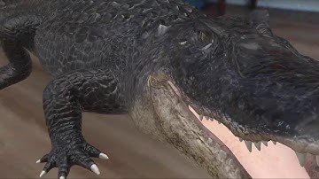 3D and AR content in Google search results