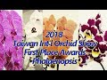 2018 Taiwan International Orchid Show (TIOS)-Phal-First Place