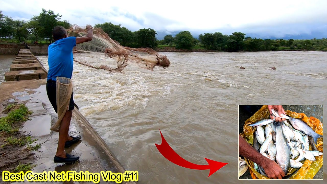 Amazing Cast Net Fishing Over the Stop Dam || daily fishing life | MrPKR [2k]