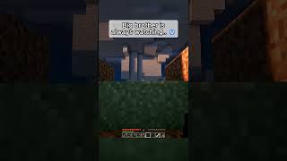 Big Brother Watching 😰 #minecraft