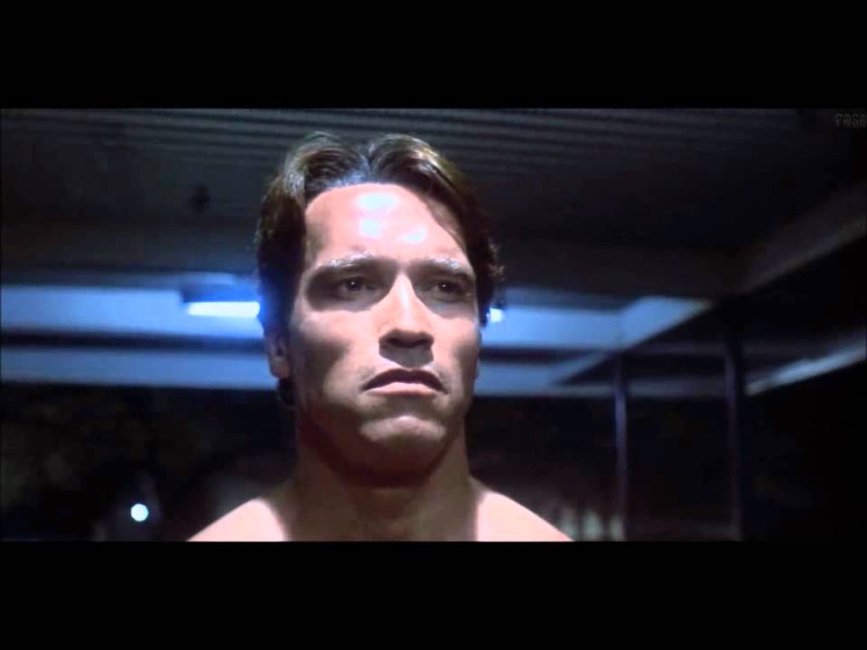 10 minutes of Nice Night for a Walk