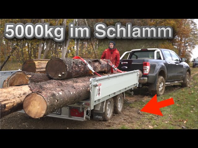 thuja smaragd 180 200 cm Thuja occidentalis 'Smaragd' Konifere (Lebensbaum) | 180-200 cm mit  Wurzelballen