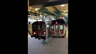 When the 2 Train and 5 Train Started Arguing at East 180th 😭🔥