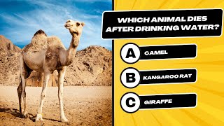 Only True Animal Lovers Can Pass This 25-Question Zoology Quiz screenshot 1