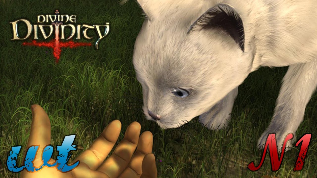 Divine Divinity: Рождение легенды (Прохождение) #1