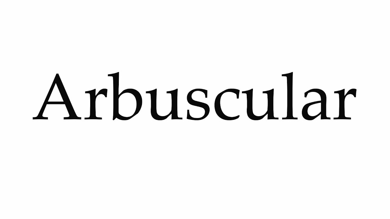 How to Pronounce Arbuscular