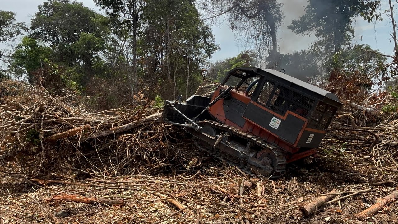 Trator de esteira D14CS fazendo limpeza de terras e represa