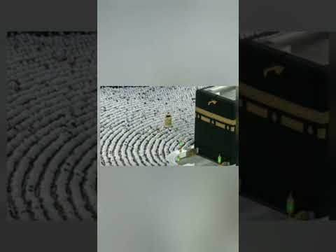 إ ن ا أ ر س ل ن اك ش اه د ا و م ب ش ر ا و ن ذ ير ا 8 ل ت ؤ م ن وا ب الل ه و ر س ول ه