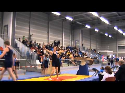 Minitramp Pegasus Dames Heren B Nivo 16 3 13 