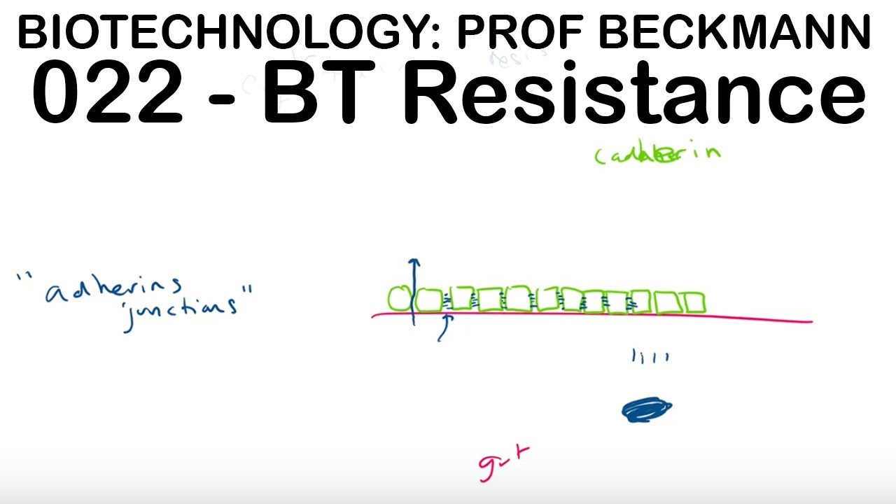Biotechnology 022: BT Resistance and Insecticide Resistance