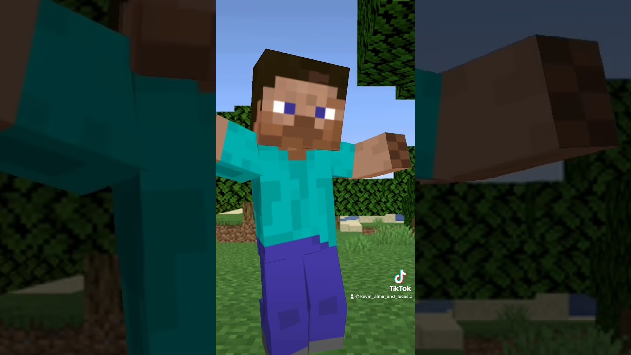 Steve ￼helicopter helicopter 🚁