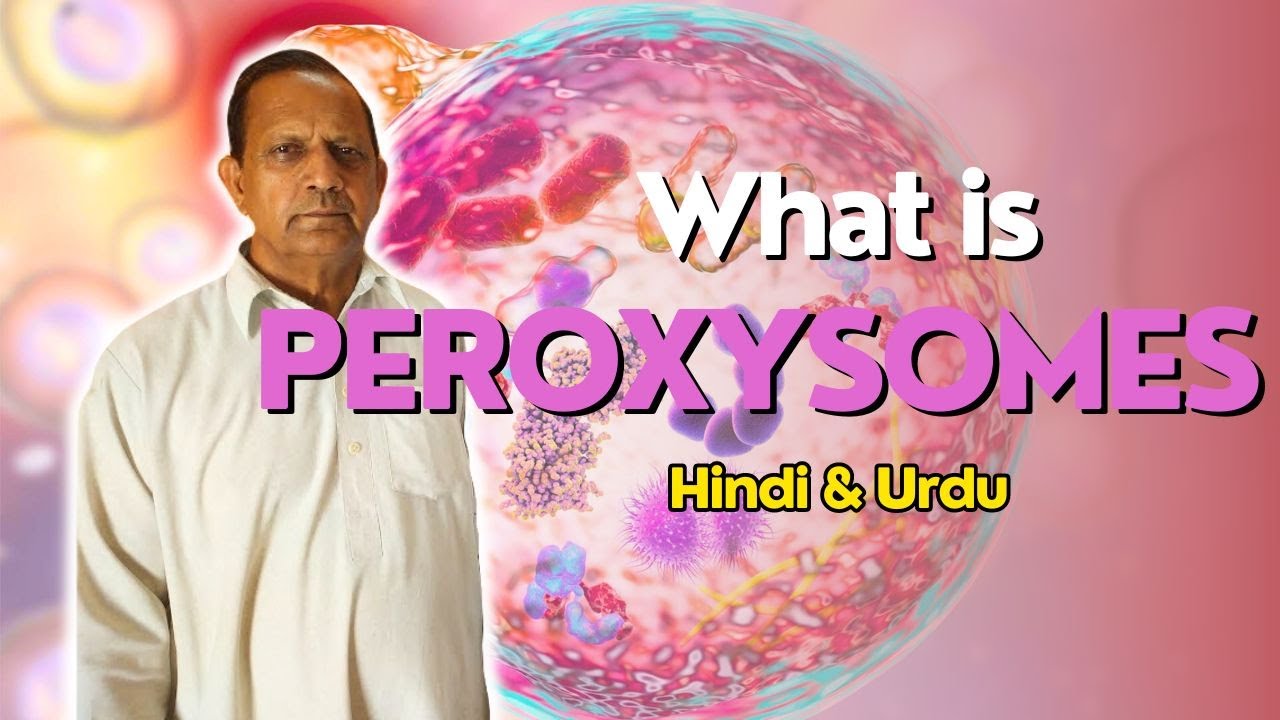 What is Peroxysome and how it Works? | Explained | Hindi & Urdu | 1st Year | Ch #4 Lecture #14