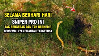 PERTARUNGAN SNIPER PRO VS SNIPER DENGAN ILMU BERKAMUFLASE TINGKAT TINGGI‼️ - Alur Cerita Film Sniper screenshot 5