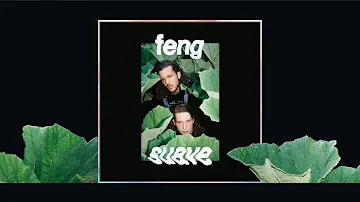 feng suave - honey, there's no time (türkçe çeviri)