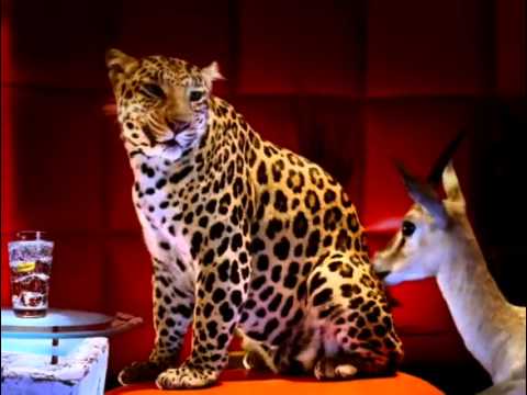 Schweppes - The Watering Hole