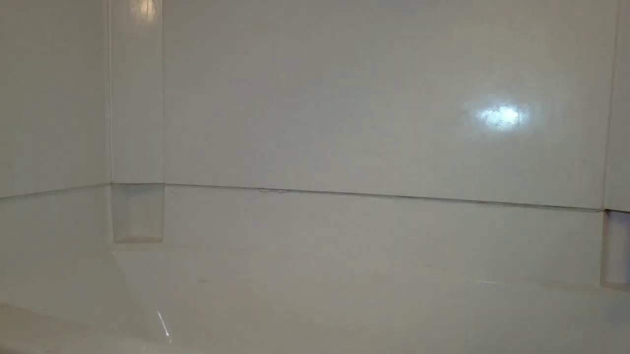 CLEAN THIS TRASH CAN AND TUB