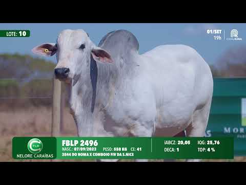Lote 10   FBLP 2496