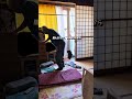 介護の現実… ケンカが増えてきたかも…