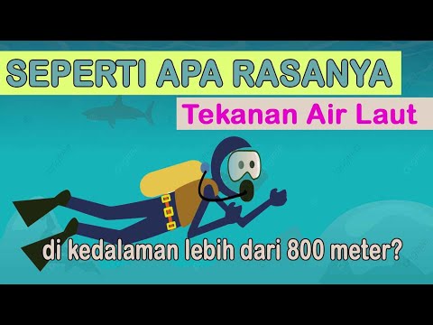 Video: Berapa banyak paras air dalam badan manusia?