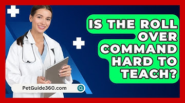 Is The Roll Over Command Hard To Teach? - PetGuide360.com