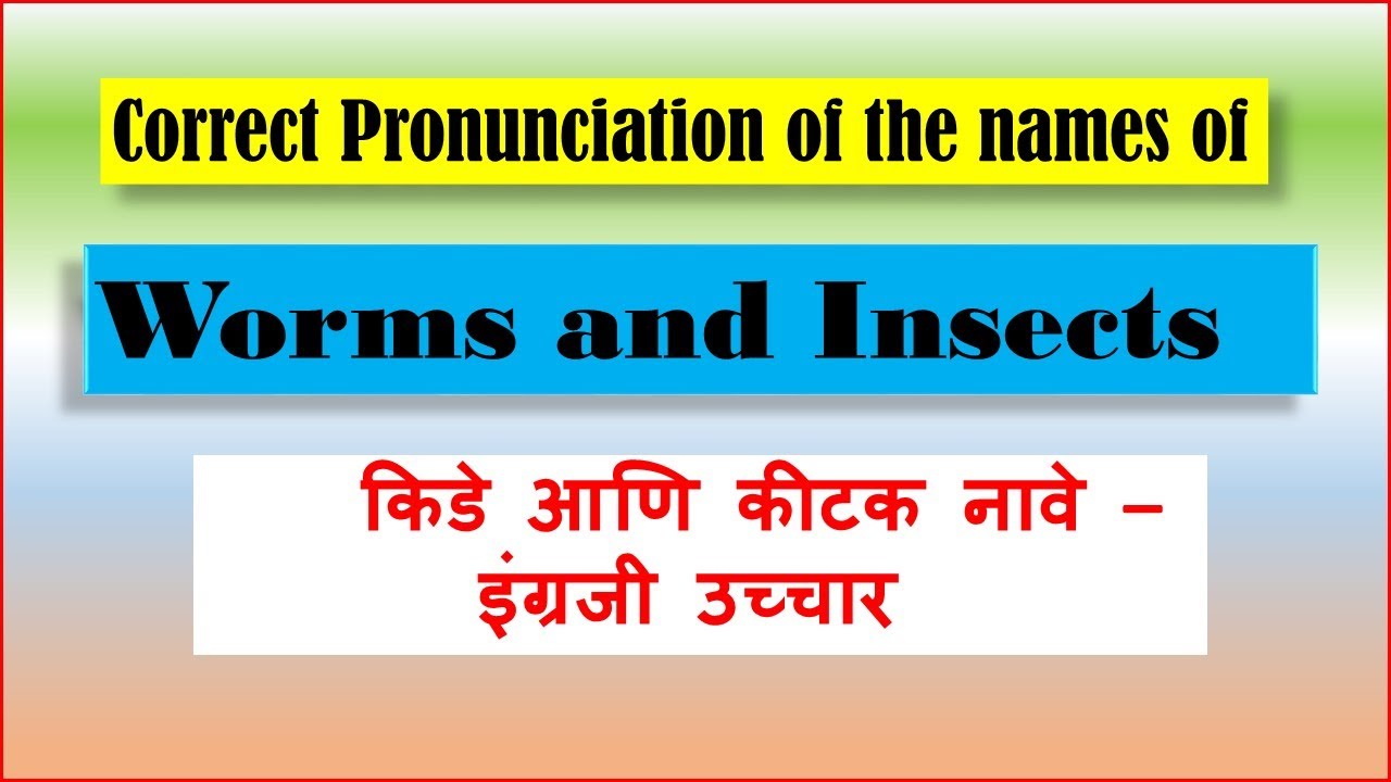 Correct pronunciation of worms and insects 720p YouTube