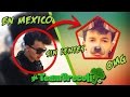 Teambrocoli  hotspanish en mexico y sin lentes