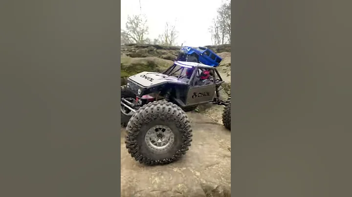 Insane axle flex! Upgraded Axial Capra 1.9 kit