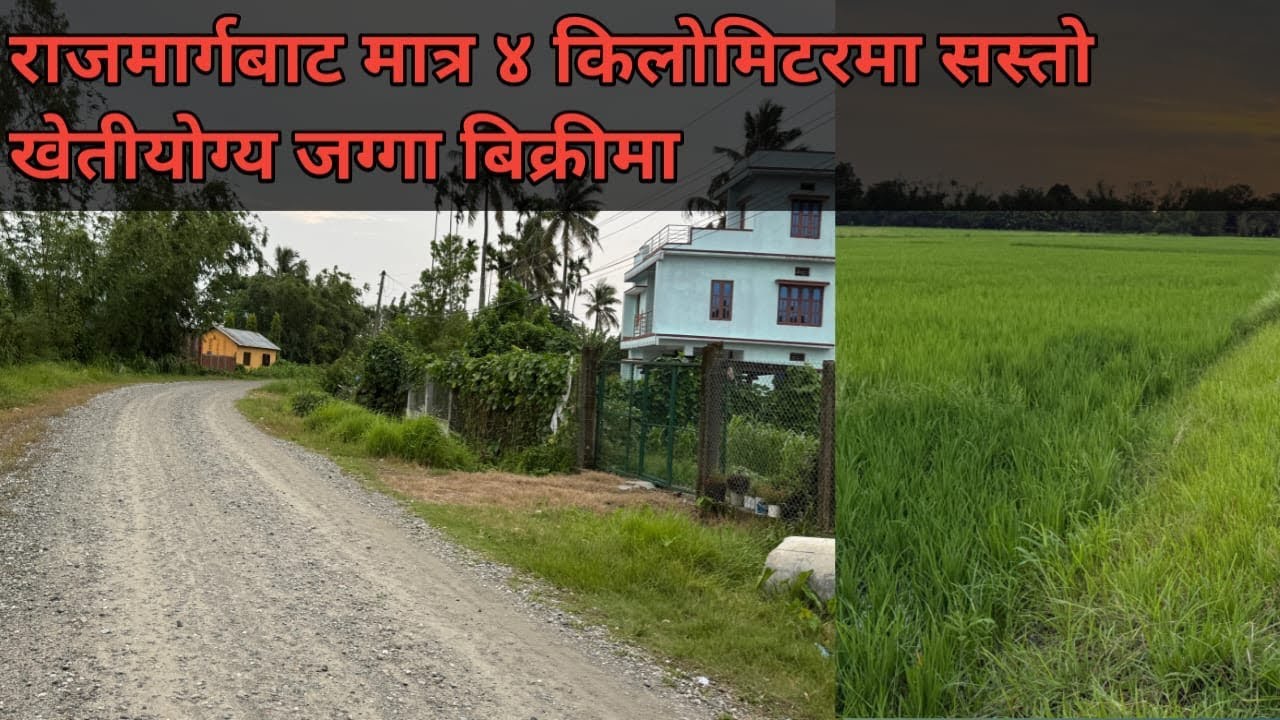 के हजुरहरु खेतियोग्य जग्गाको खोजिमा हुनुहुन्छ? यदि हुनुहुन्छ भने 9827005573 मा सम्पर्क गर्नुहाोला।