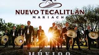 MARIACHI NUEVO TECALITLAN  - DISCULPE USTED chords