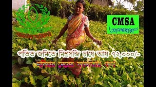 ঘর লাগোয়া পতিত জায়গা পরিষ্কার করে মিশ্র সবজি চাষ করে সফল নদিয়ার মেয়ে। organic mixed cropping