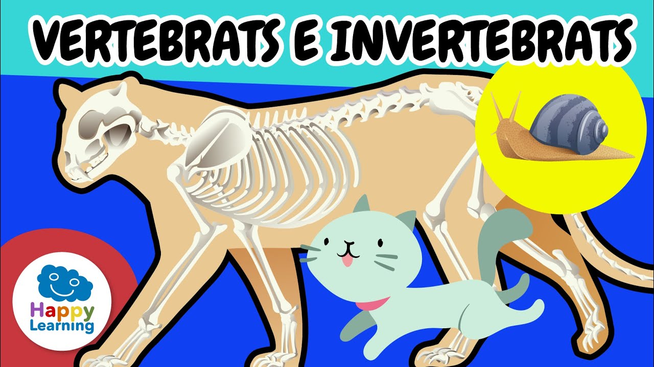 🐾✨ ANIMALS VERTEBRATS i INVERTEBRATS | Vídeos educatius per a nens | 