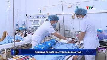 Thanh Hóa: Số người nhập viện do rắn cắn tăng | PTTH Thanh Hóa