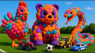 The  mascot vibrato assistant dog placed on the football field is popular, co-produced, and creative