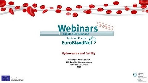 EuroBloodNet Onderwerp over SCD voor patiënten en hun familie: Hydroxyureum en vruchtbaarheid