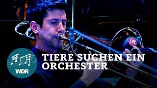 Tiere suchen ein Orchester | WDR Funkhausorchester