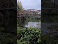 The sound of raindrops falling on the river near the beautiful bridge becomes a white noise lullaby