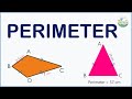 The easiest way to find the perimeter of a plain figure