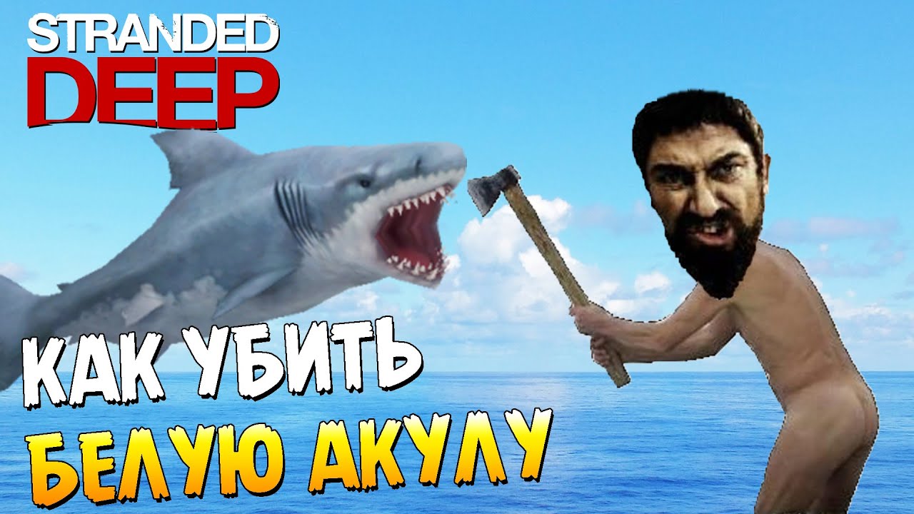 Покажи мерседес акулу