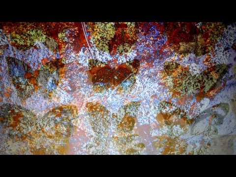 Pure Data and Gem ... butterfly and lichen color animation.