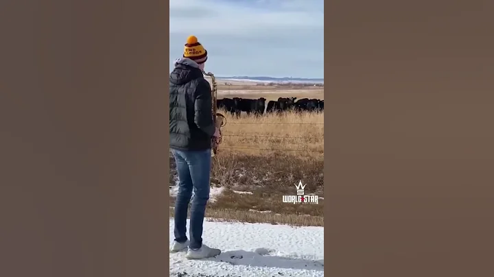 WSHH: They seem to be entertained!  (via @andypete...