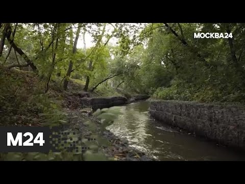 Видео: Сценарии за река Москва