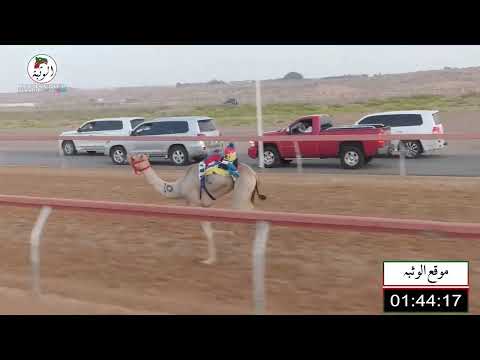 الشوط 8 الشاهينية ل مطوع بن سيف شمال الظاهري 2 9 شارة الصندوق 2022 4 30 فطامين ابوسمره