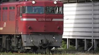 JR貨物　ED76 1019 形　機関車が牽引する　宮田踏切　撮影日2024 4 13